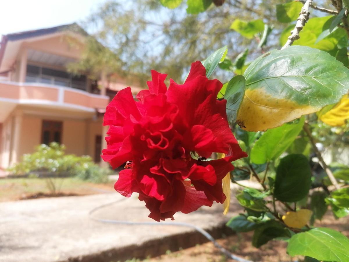Ashoka Villa Jaffna Bagian luar foto